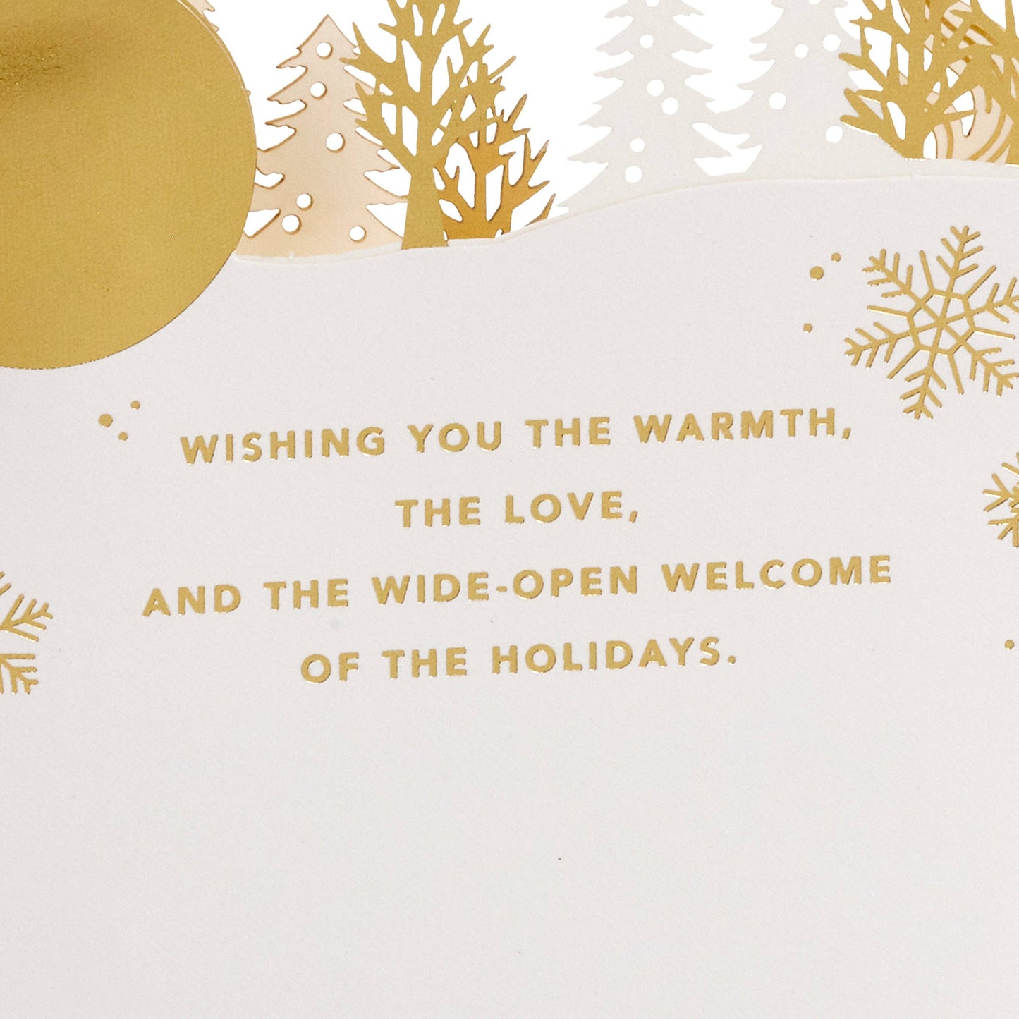 Musical Christmas Card - 3D & Pop-Up White Winter Woodland Design with Light